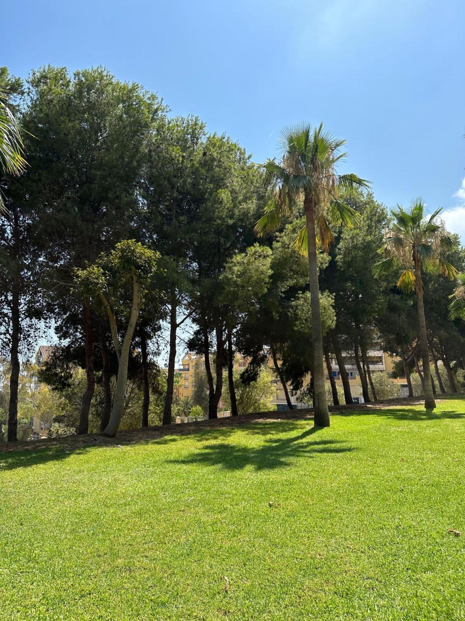 Benalmadena Gamonal Apartamento Málaga Exterior foto
